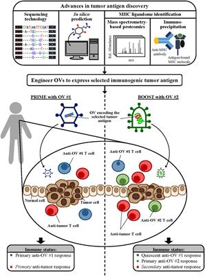 Frontiers | Sharpening The Edge For Precision Cancer Immunotherapy ...